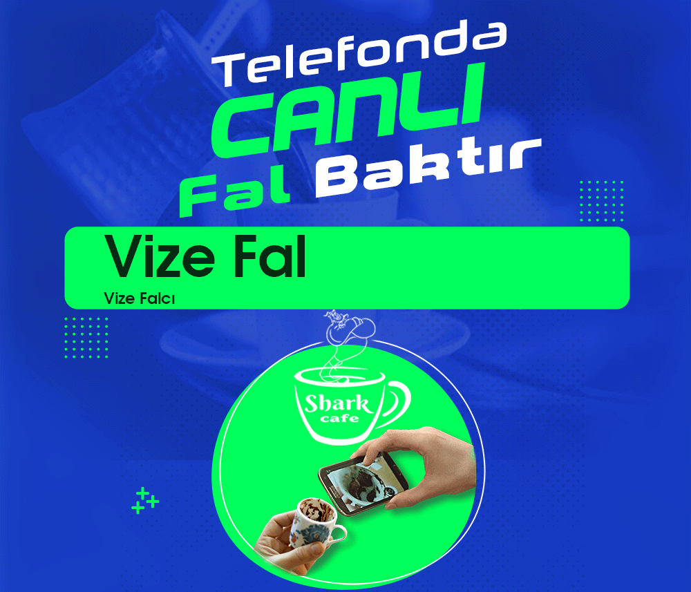 Vize Falcı